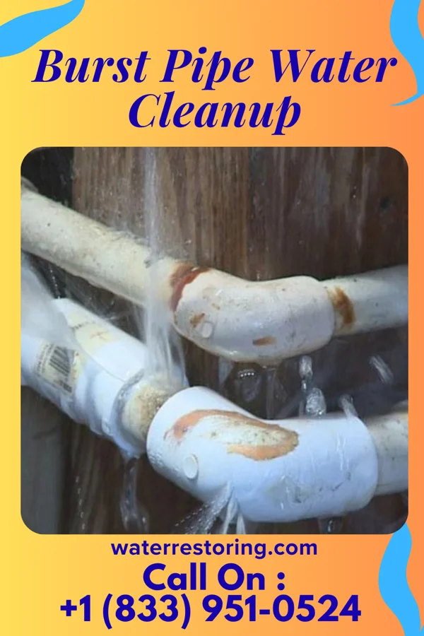 Burst Pipe Water Cleanup in Nakaibito, NM
