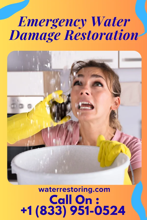 Emergency Water Damage Restoration in Nakaibito, NM
