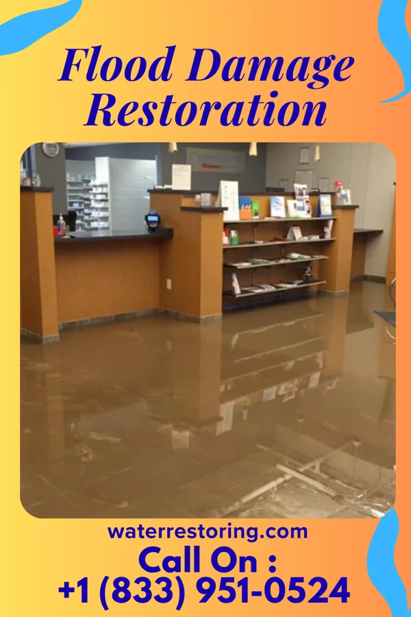 Flood Damage Restoration in Nakaibito, NM