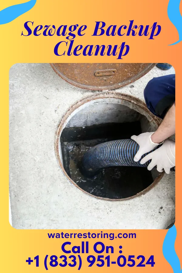 Sewage Backup Cleanup in Nakaibito, NM