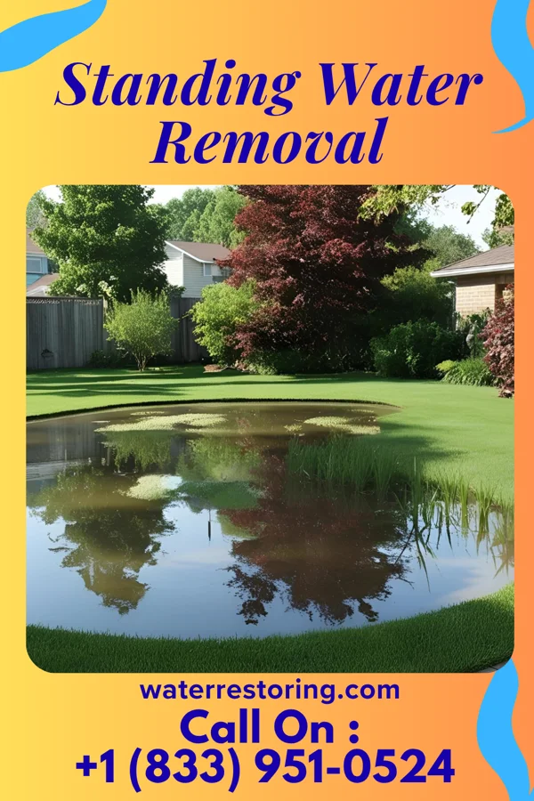 Standing Water Removal in Nakaibito, NM